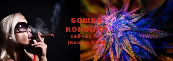 крисы Ельня