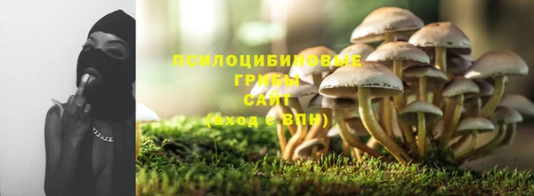a pvp Заводоуковск