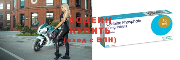 крисы Ельня
