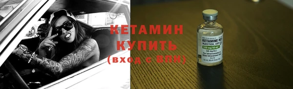 крисы Ельня