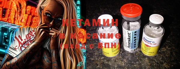крисы Ельня