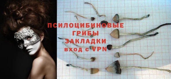 крисы Ельня