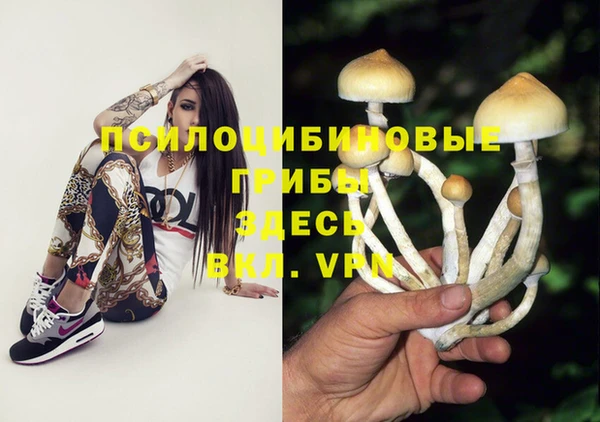 2c-b Елабуга