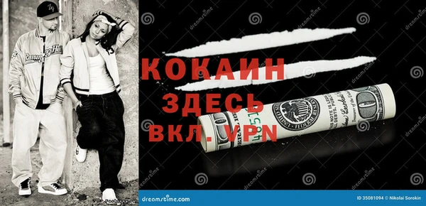 крисы Ельня